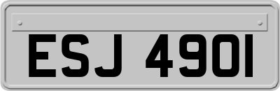 ESJ4901