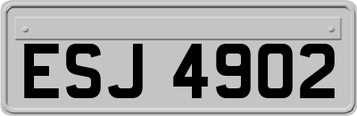 ESJ4902