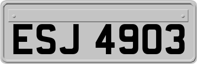 ESJ4903
