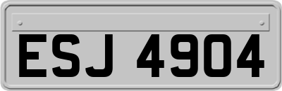 ESJ4904