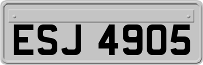 ESJ4905