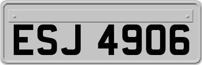 ESJ4906