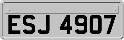 ESJ4907