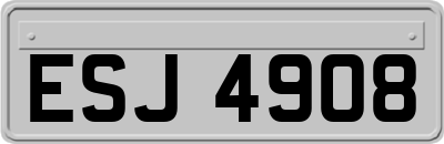 ESJ4908
