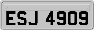 ESJ4909