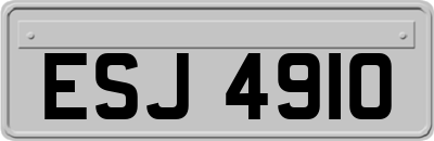 ESJ4910