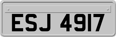 ESJ4917