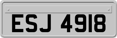 ESJ4918