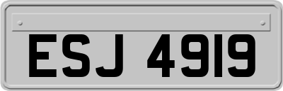 ESJ4919