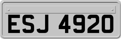 ESJ4920