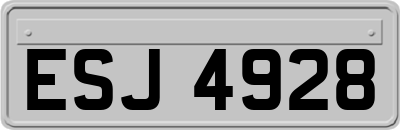 ESJ4928