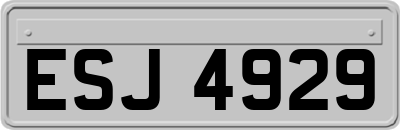 ESJ4929