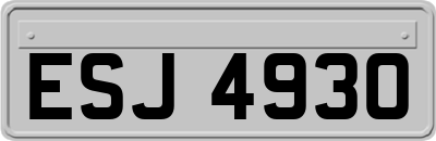 ESJ4930