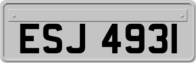 ESJ4931