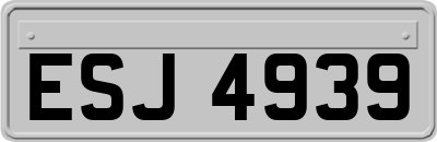 ESJ4939