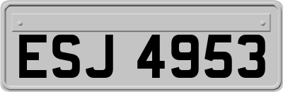 ESJ4953