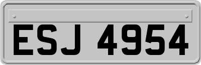 ESJ4954