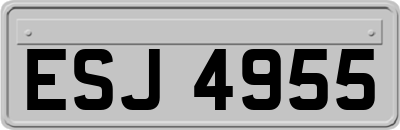 ESJ4955