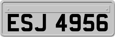ESJ4956