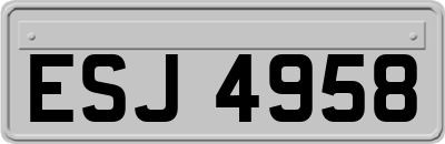 ESJ4958