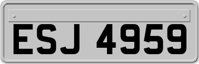 ESJ4959