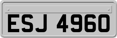 ESJ4960