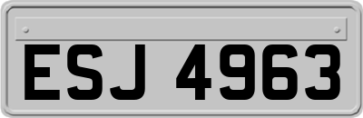 ESJ4963