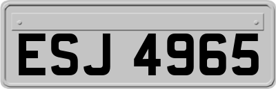 ESJ4965