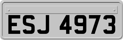 ESJ4973