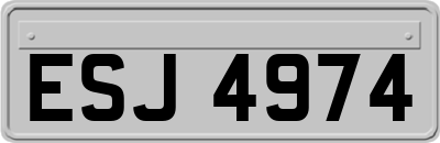 ESJ4974