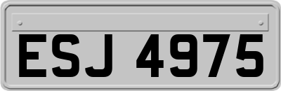 ESJ4975