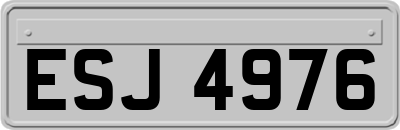 ESJ4976