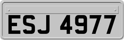 ESJ4977