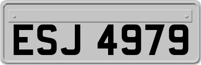 ESJ4979