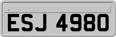 ESJ4980
