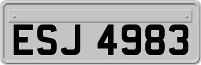 ESJ4983