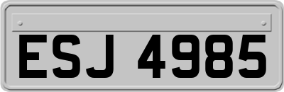 ESJ4985