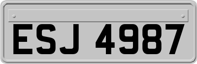 ESJ4987