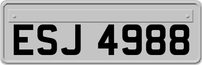 ESJ4988