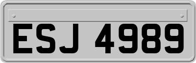 ESJ4989