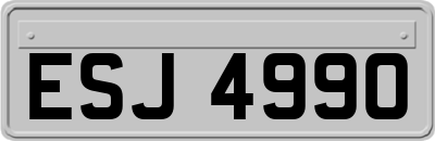ESJ4990