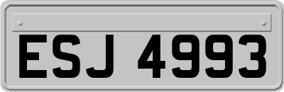 ESJ4993