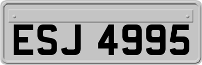 ESJ4995
