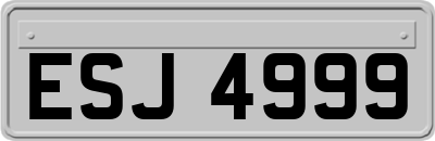 ESJ4999