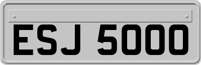 ESJ5000