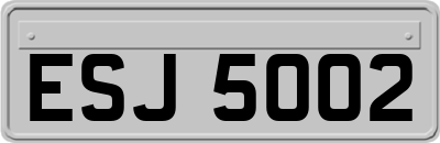 ESJ5002