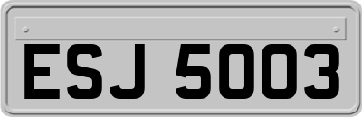 ESJ5003