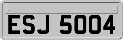 ESJ5004
