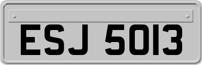 ESJ5013