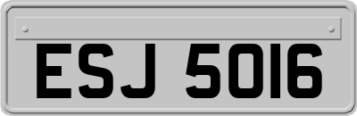 ESJ5016